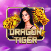 Dragon Tiger ok bet casino